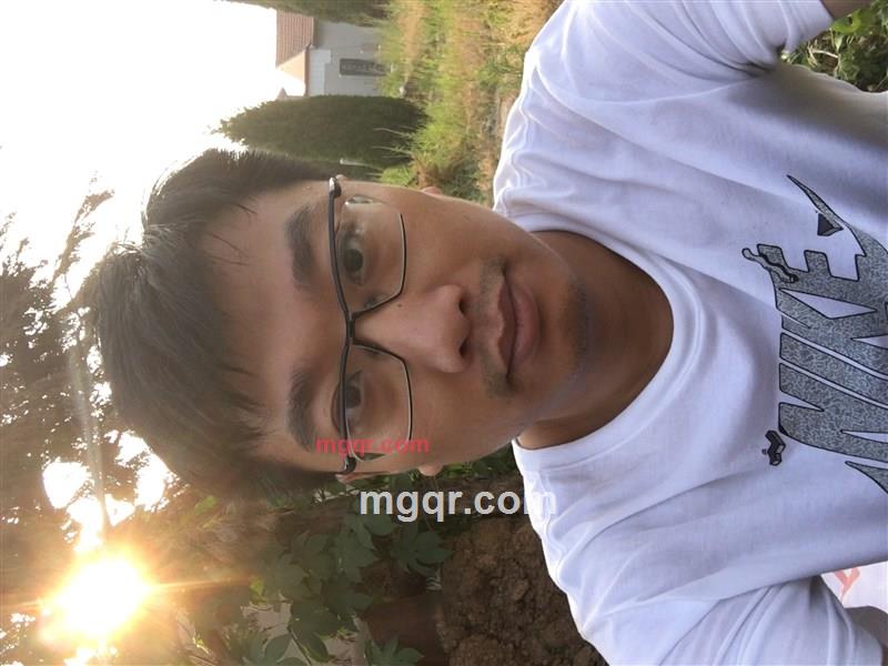 散步的青蛙的第2张照片