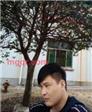 大悲咒的第1张照片