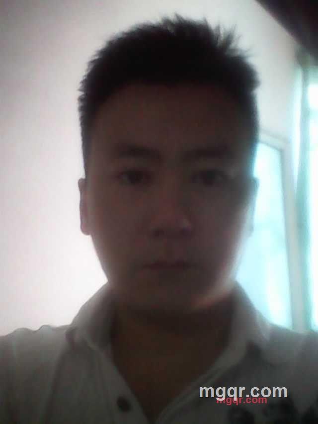 树荫下的紫砂壶Q的第1张照片