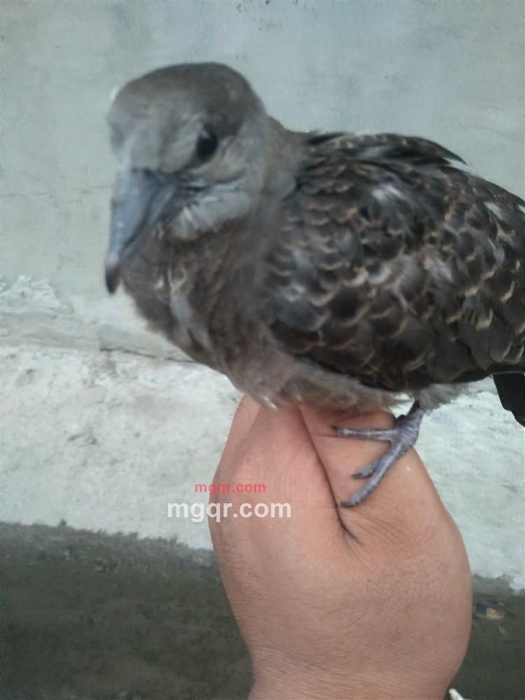 0相约吧的第1张照片