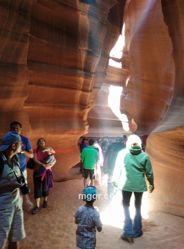 飞舞的第2张照片