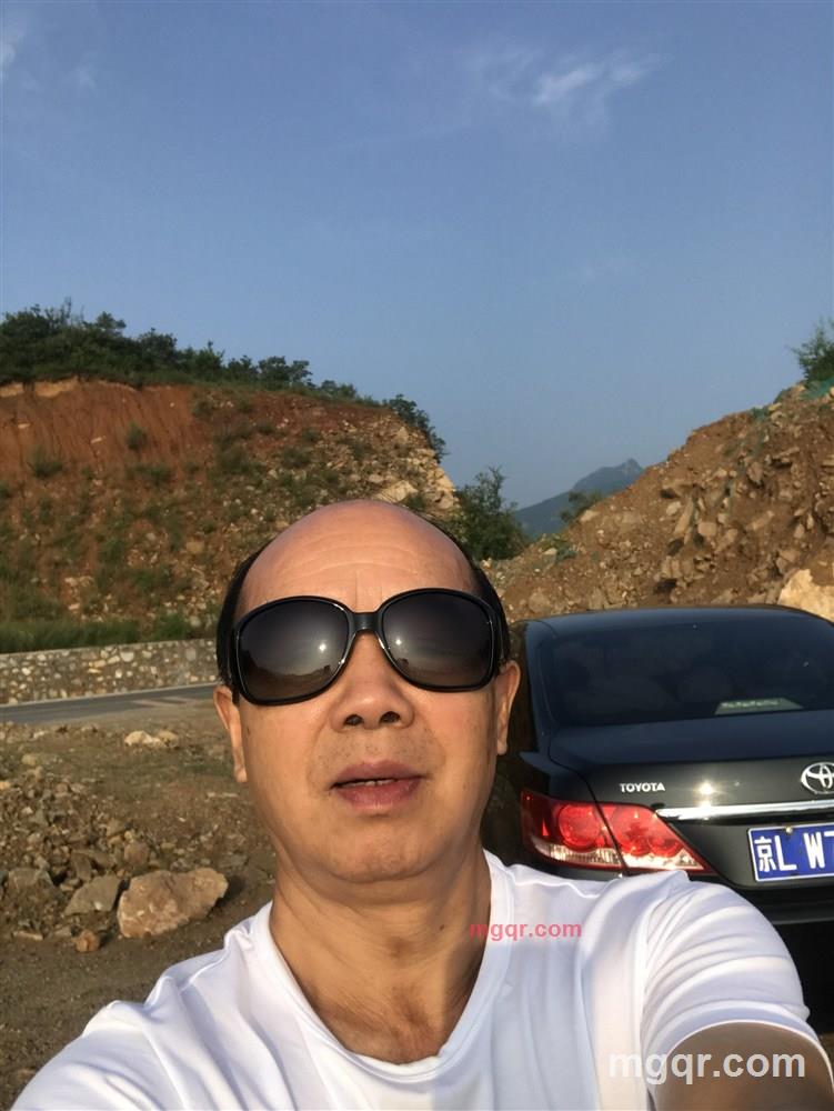 金猴的第1张照片