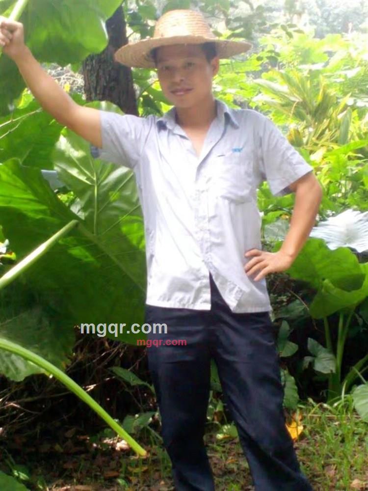 念初心不忘的第2张照片