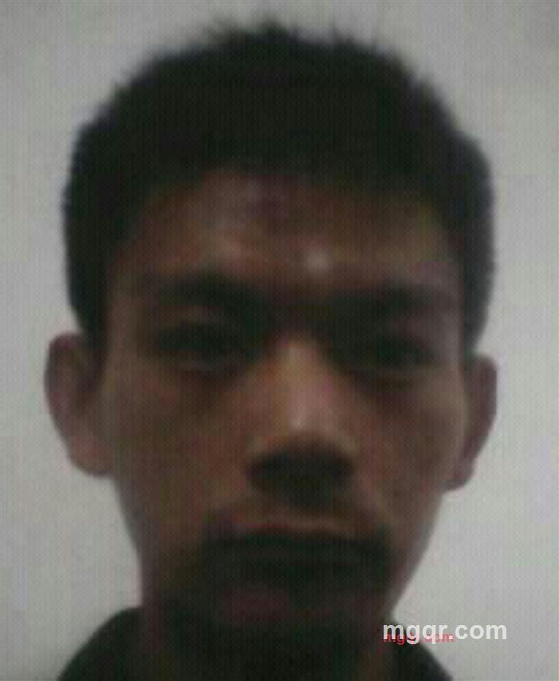 贵族公子的第1张照片