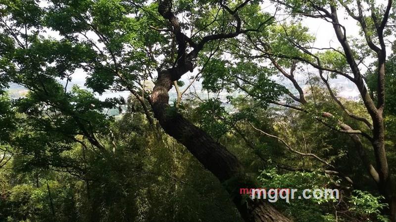 xiaohanai的第2张照片