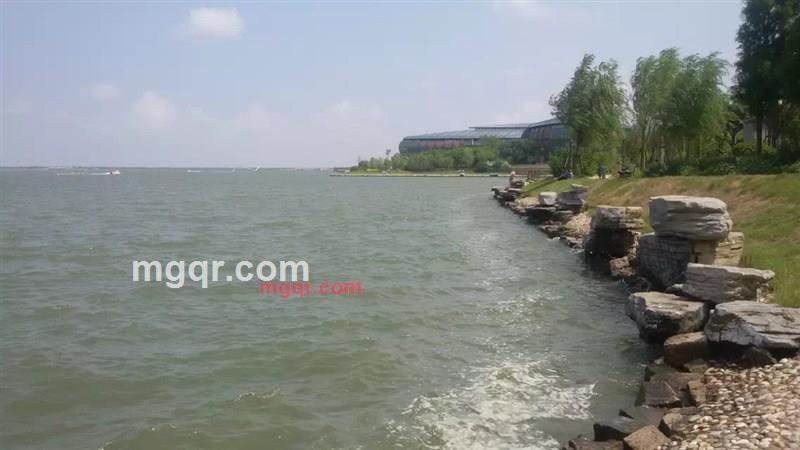 xiaohanai的第1张照片