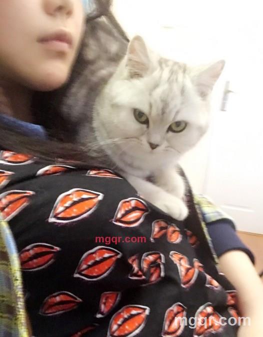 猴晶晶的第1张照片