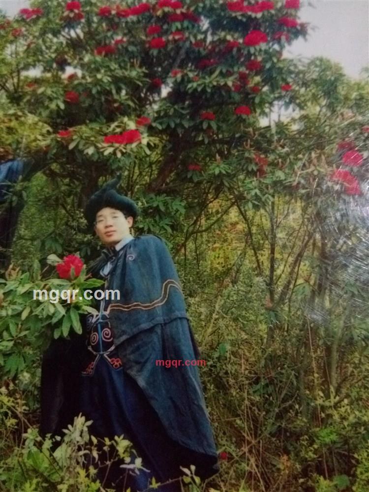 鸟花兰的第4张照片