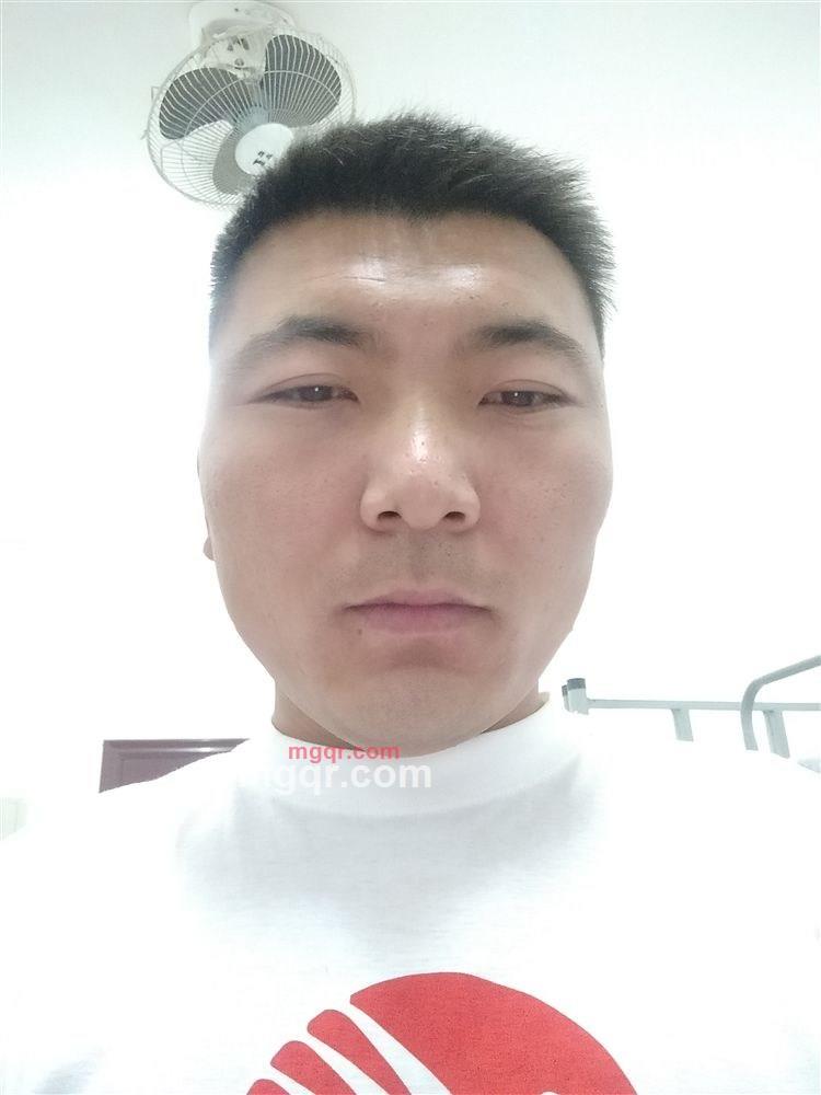 孤狼的第4张照片