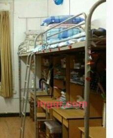 云倩的第3张照片