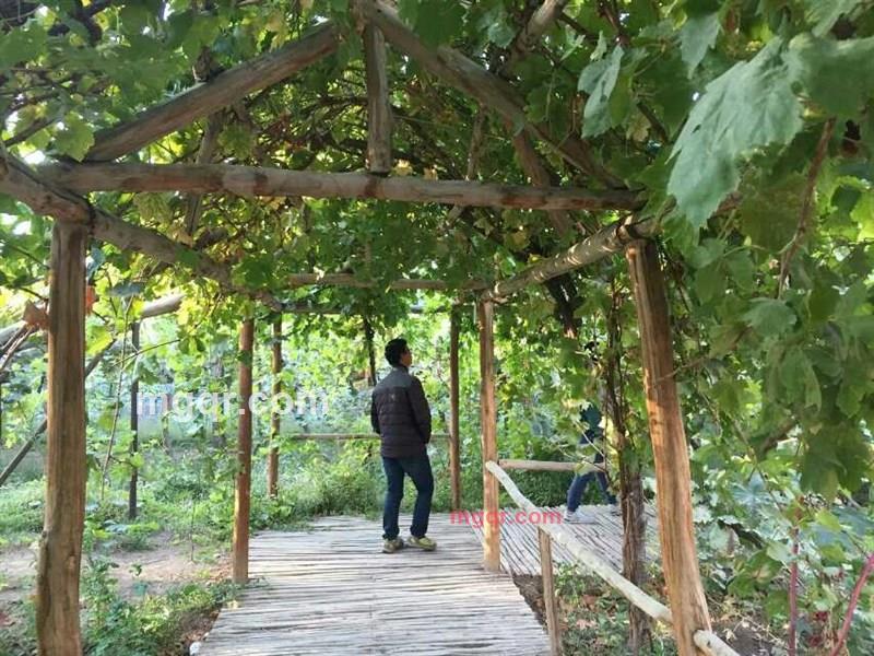 带着信仰漂流的第4张照片