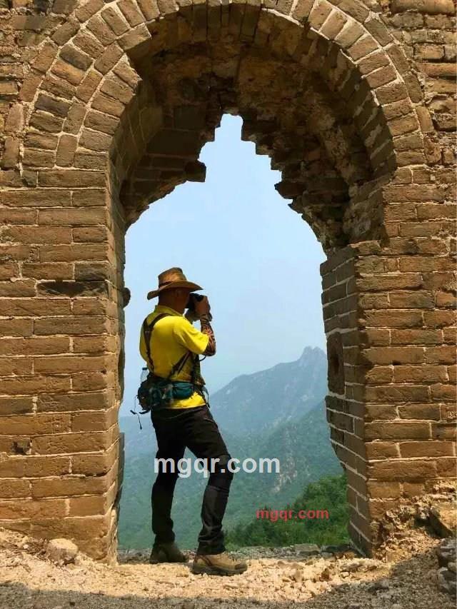 开车觅情的第2张照片