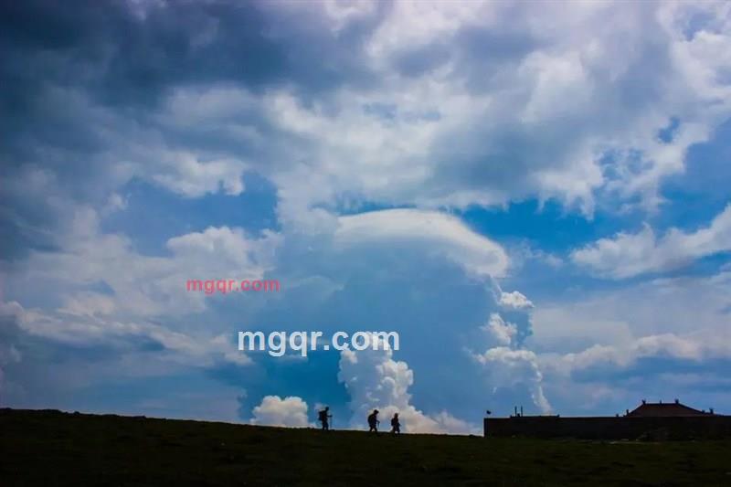 开车觅情的第6张照片