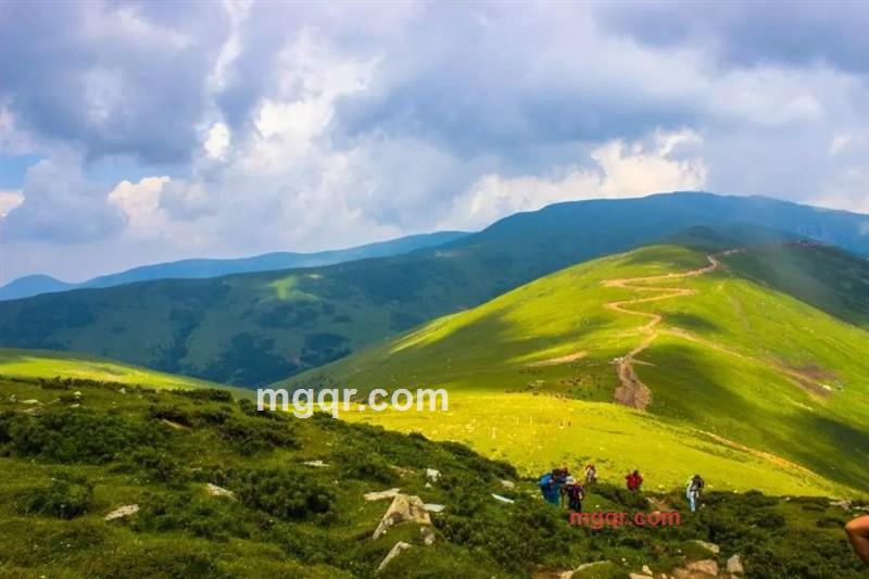 开车觅情的第4张照片