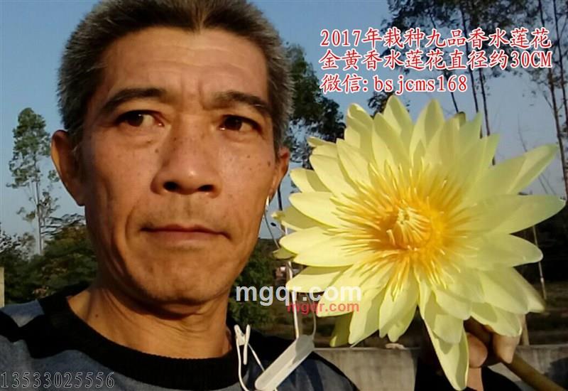 九连抱的第1张照片