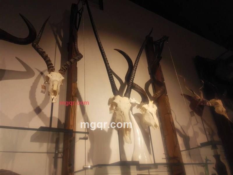 华仔的第6张照片