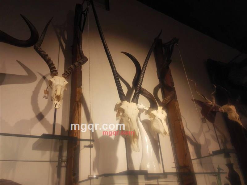 华仔的第1张照片