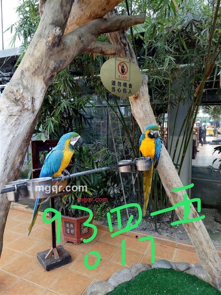 勇闯天涯的第1张照片