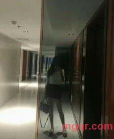 两只耳朵竖起来的第3张照片