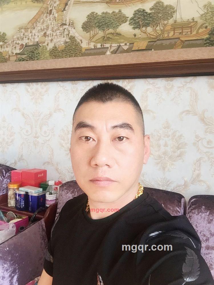 疯狂的小蜜蜂的第1张照片