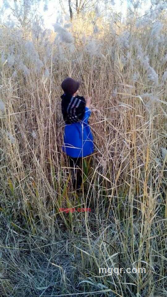 风雪的第2张照片