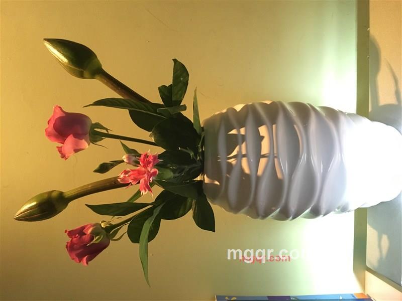 偶尔放纵的第1张照片