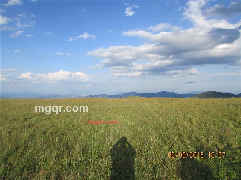 兵部队的第4张照片