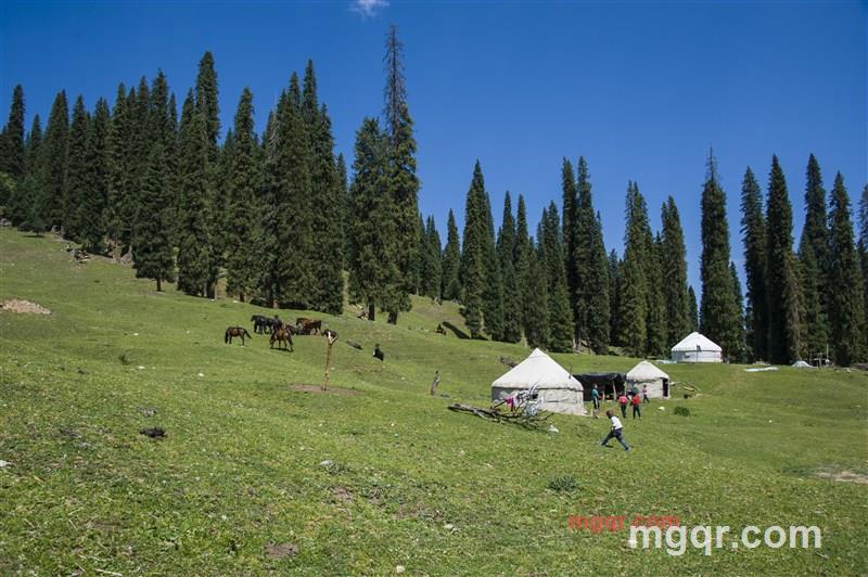 兵部队的第2张照片