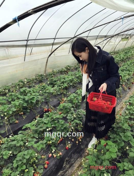 李璐p的第2张照片