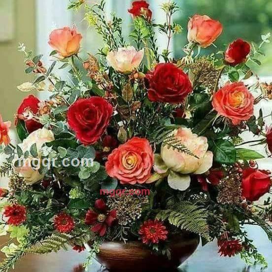 Chalscott的第1张照片