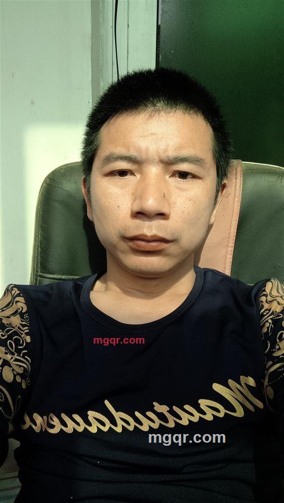 风中劲竹的第1张照片