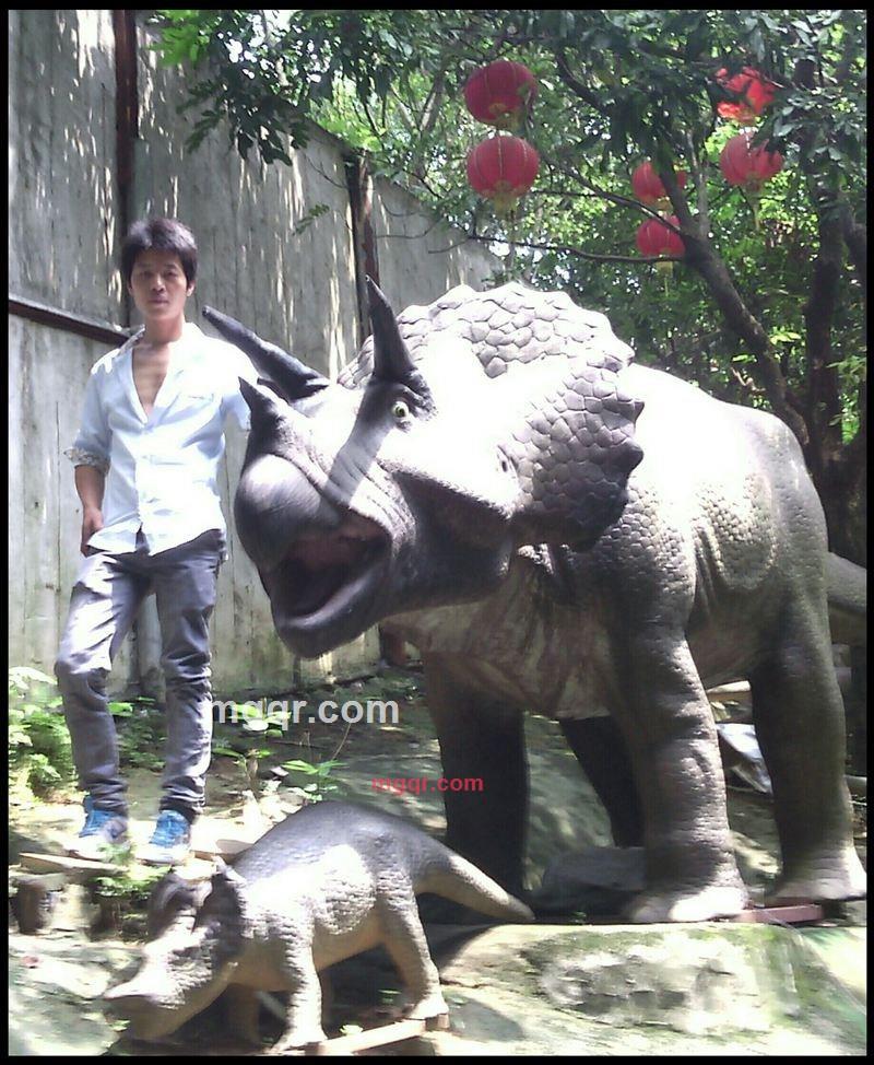 坚持的第6张照片