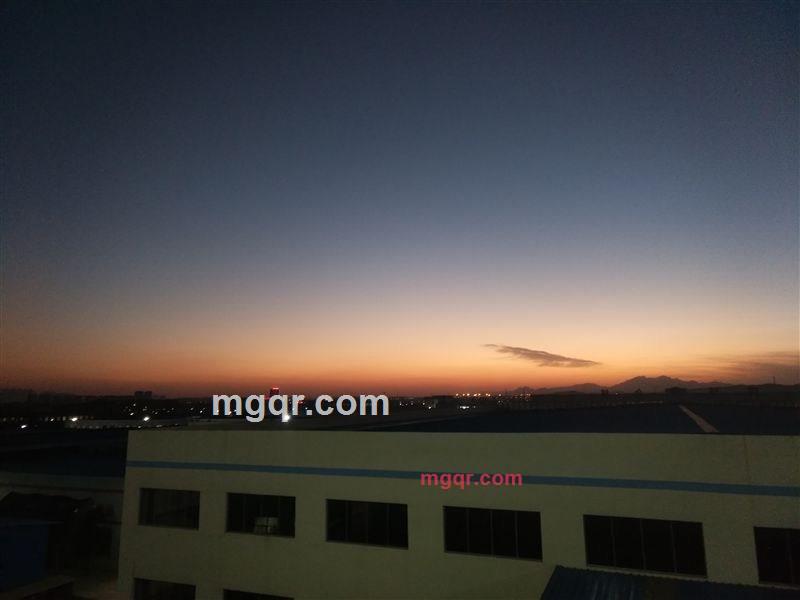 一株天堂鸟的第3张照片