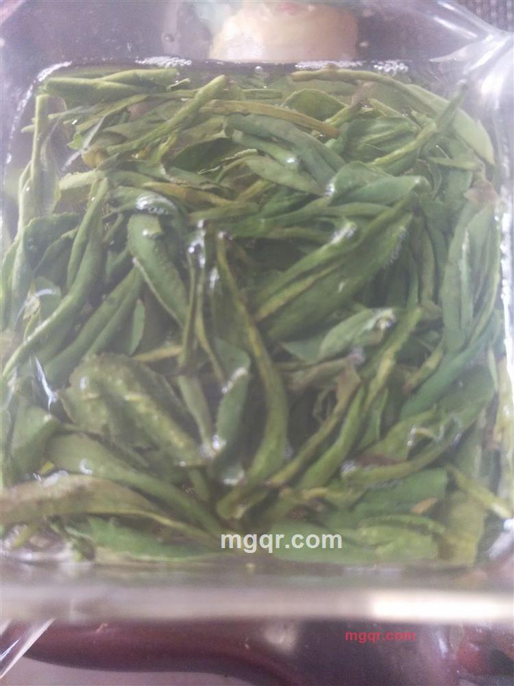 一株天堂鸟的第1张照片