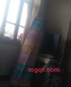 **爱爱的第4张照片