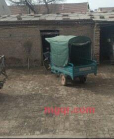 **爱爱的第1张照片