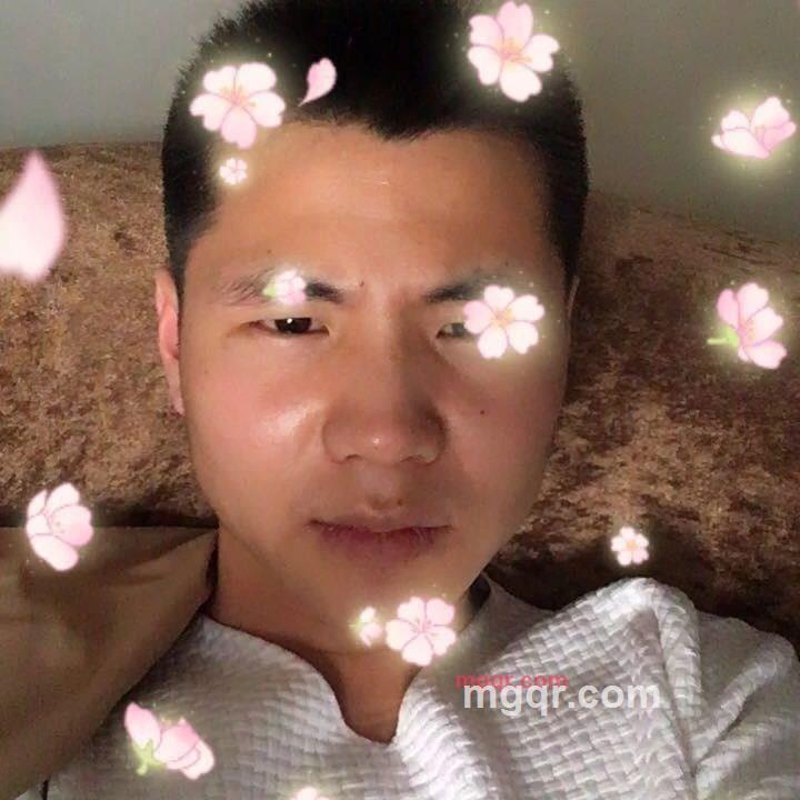 無言的第2张照片