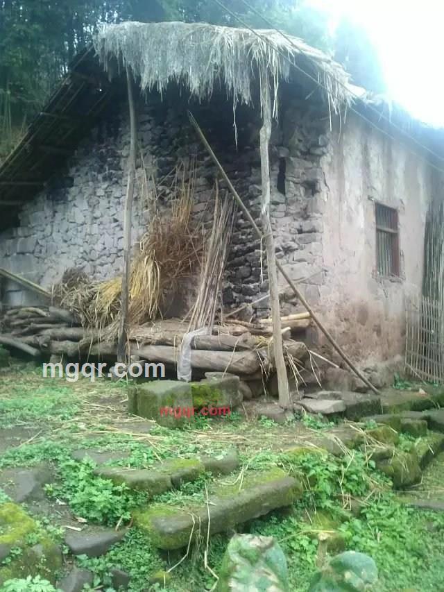 zywxhr的第1张照片