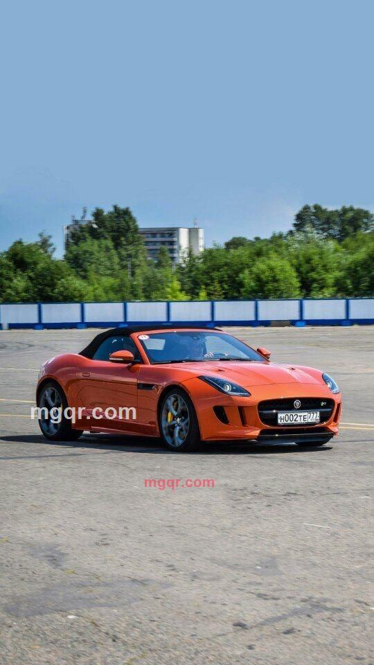 爱在人间的第1张照片