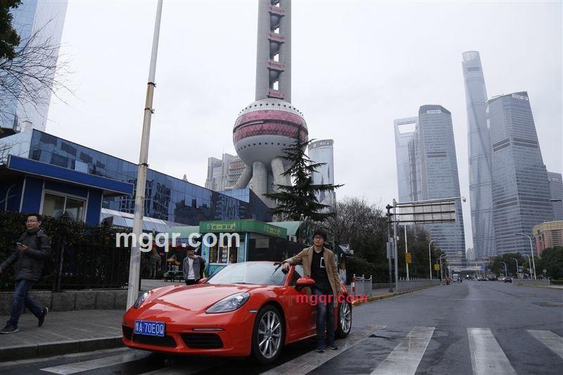 异国的鸟的第3张照片