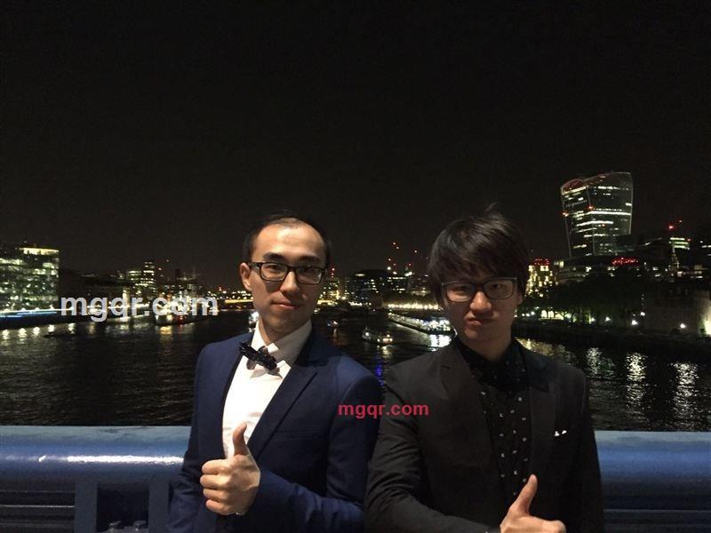 异国的鸟的第2张照片