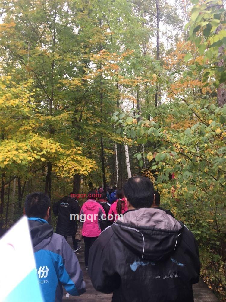 孤狼觅狐的第1张照片