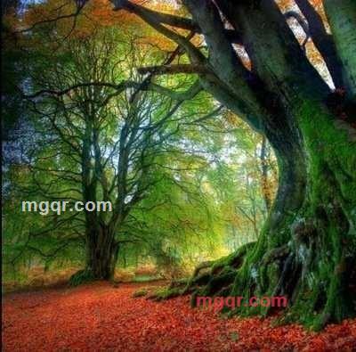 一座城的记忆的第1张照片