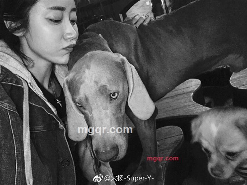 瑾晨i的第3张照片