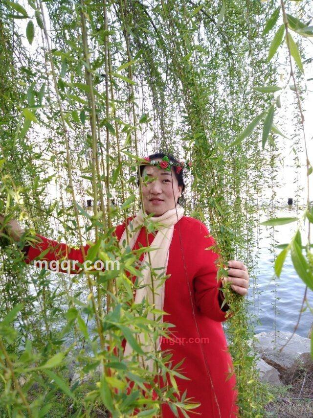 红薯《地瓜》苕的第1张照片