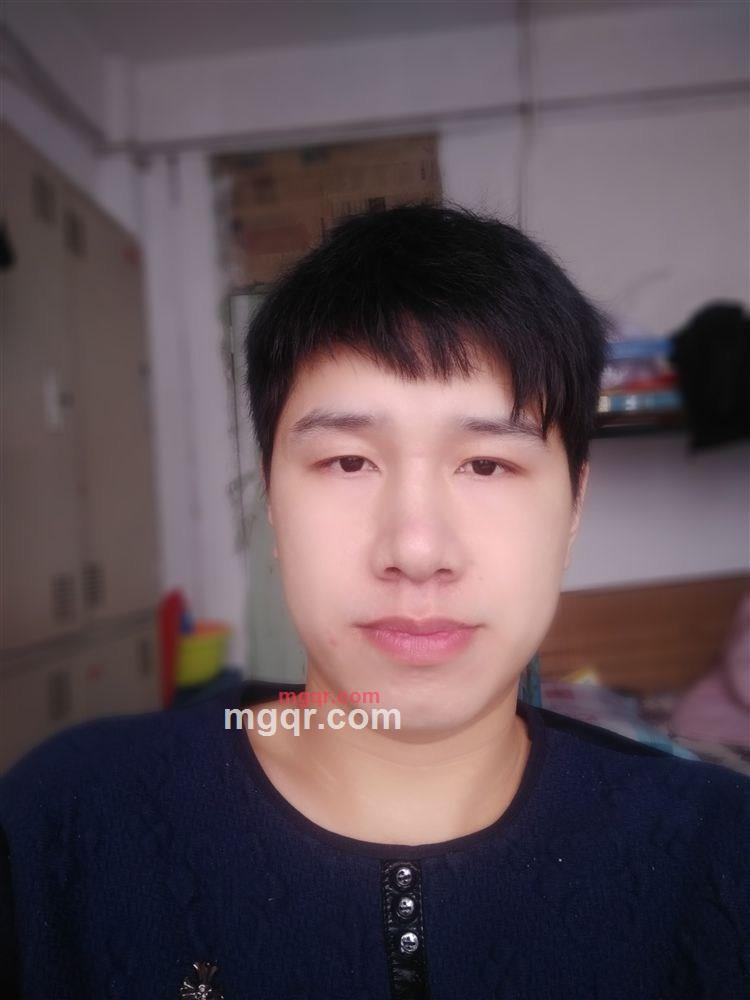 玫瑰的第1张照片