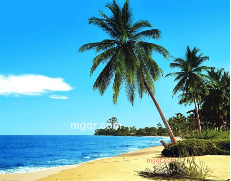 人在网途的第3张照片