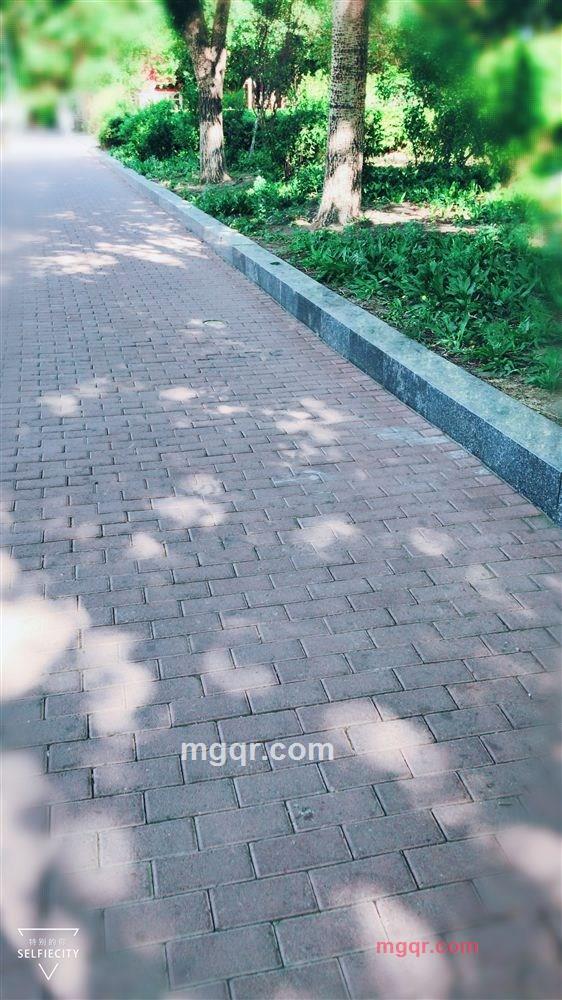 寂寞烟花的第1张照片