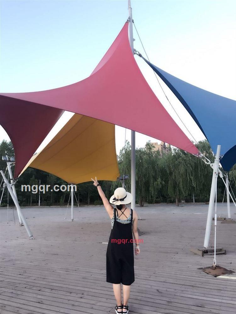 ? ? 娇儿的第1张照片