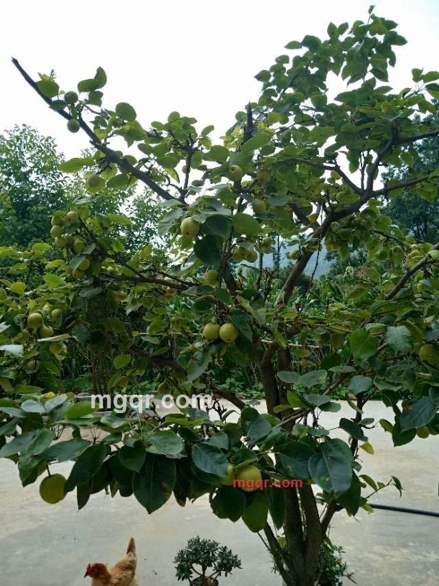 黑夜梦回的第15张照片